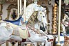 berck4564.jpg