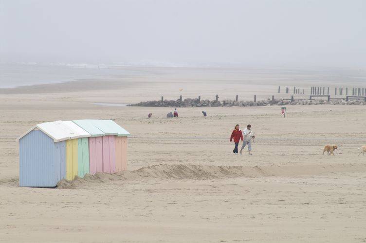berck4555.jpg