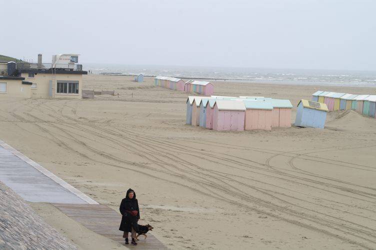 berck4569.jpg