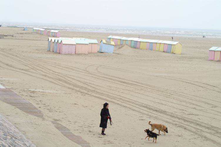 berck4572.jpg