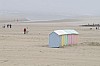 berck4550.jpg