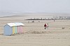 berck4555.jpg