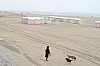 berck4572.jpg
