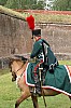 43chevaux3646.jpg