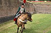 43chevaux3647.jpg