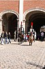 43chevaux3656.jpg