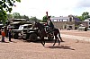 43chevaux3665.jpg