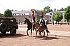 43chevaux3667.jpg