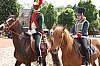 43chevaux3708.jpg