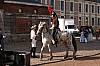 43chevaux3797.jpg
