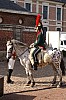 43chevaux3798.jpg