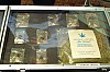 43expogendarmerie3765.jpg