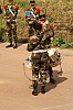 43paradeext3557.jpg