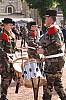 43paradeint3741.jpg
