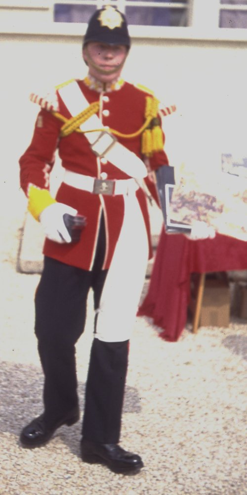 Dijon91