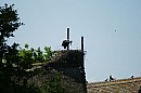 mul1039.jpg