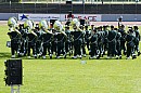 mul2575_1.jpg