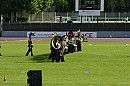 mul2724.jpg