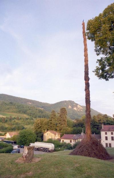 Feu de la St Jean